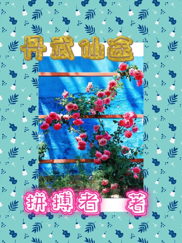 落花限制分级第1页