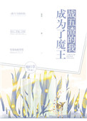b站引流推广网站