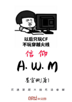 在暴雪时分电视剧免费观看