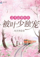 菊花综合网
