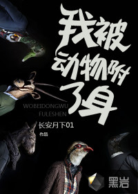 在线视频播放大全