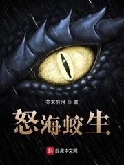 欧美17p