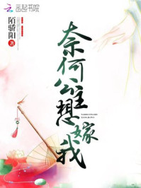 h有声小说