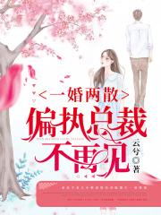 私房片采用高速播放