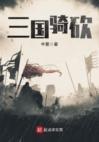 影子前锋