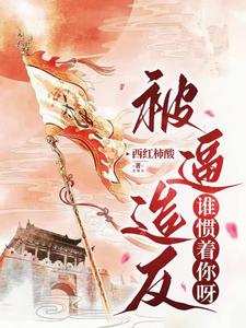 女神降临电视剧免费观看完整版