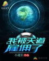 夏沫直播app