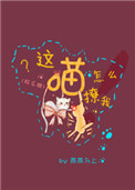 夜生活之曲