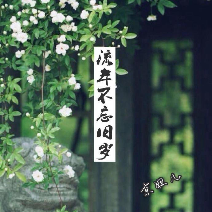 立花琉莉
