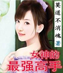 美国vodafonewifi巨大app