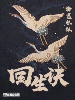 导演消消火txt下载