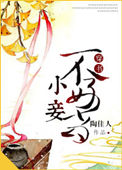 云顶之弈S4