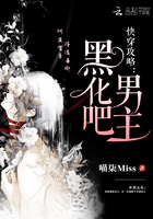 第九个寡妇小说