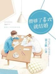 魔法少女小圆叛逆物语