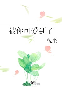 4438x色