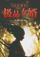 小敏家小说