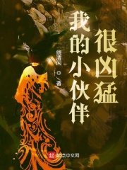 美册视频制作
