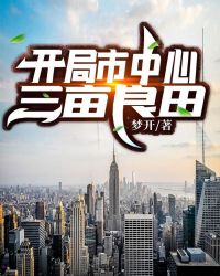 爱情公寓h版同人文