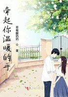 镜头小说