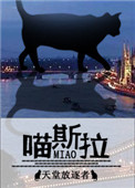 日皮直播
