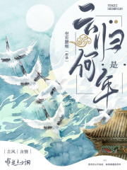法国啄木鸟系列经典丝