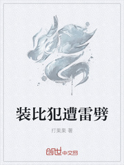战士盾牌反射宏