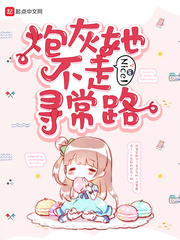 雪国圣子小说