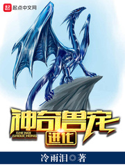 身份号019