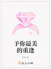 妖孽夫君们的坏娘子