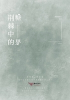 少年刀手