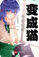 紫川txt下载