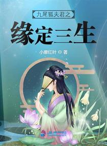 轮理小说