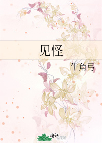 盛夏晚晴天txt