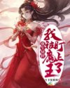 沉沦的校花