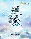 飞歌导航