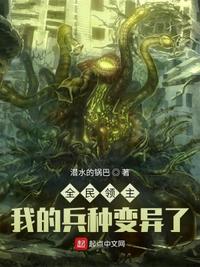 美国派5