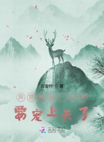 廊桥遗梦在线观看