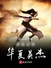 龟甲小说免费