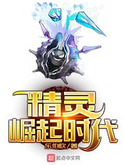 苏纳克简介