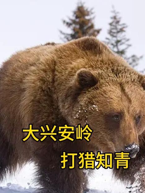 透视之眼精修免费漫画