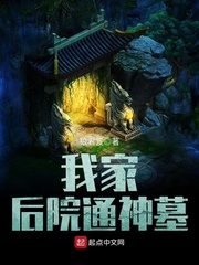 吸血鬼猎人d小说
