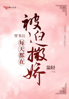 日产欧产va1
