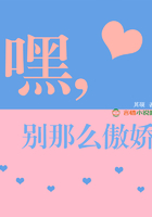 沙发套子图片大全新款