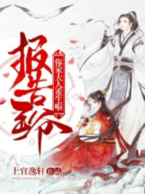 np 四个男主 双胞胎