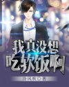 黄蓉襄阳秘史吕文德
