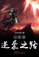 saber本子