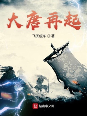 免播放器在线视频