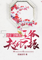 dominno图片