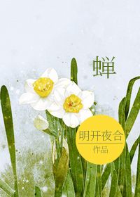 上节育环一般多少钱