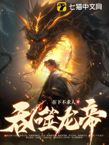 明月几时有小说